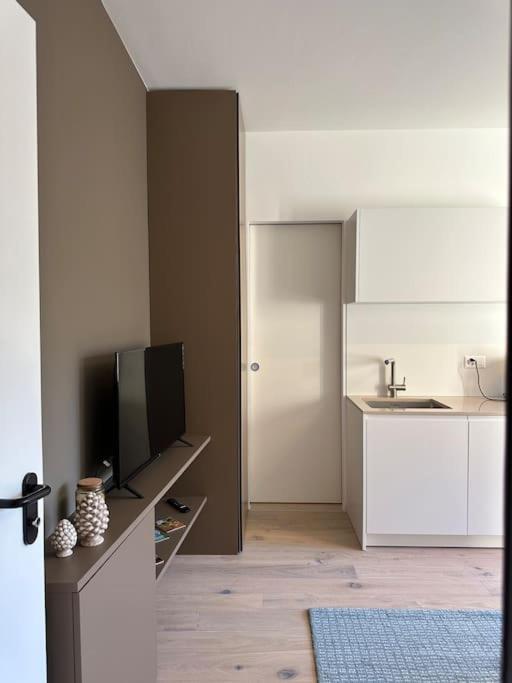 Riva 17 Apartment Лугано Екстериор снимка